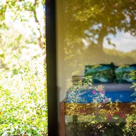 Auberge de jeunesse Hush Maderas à San Juan del Sur Extérieur photo