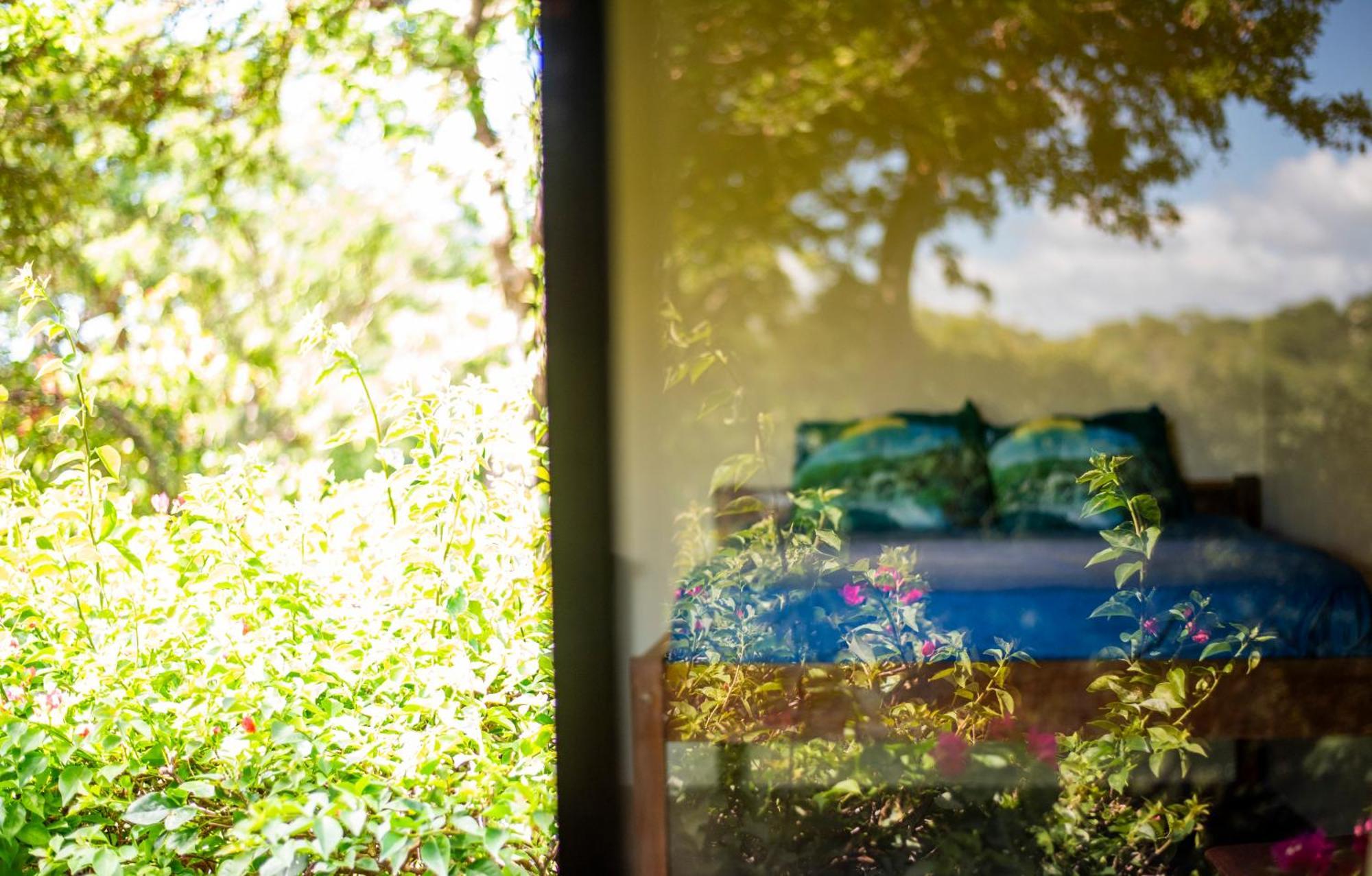 Auberge de jeunesse Hush Maderas à San Juan del Sur Extérieur photo